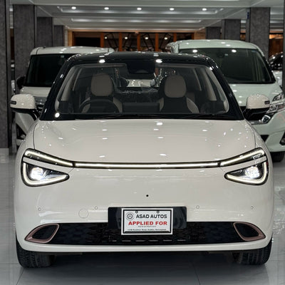 Gugo Box (2025) Fully Electric, Zero Meter, Unregistered