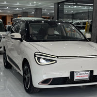 Gugo Box (2025) Fully Electric, Zero Meter, Unregistered