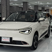 Gugo Box (2025) Fully Electric, Zero Meter, Unregistered